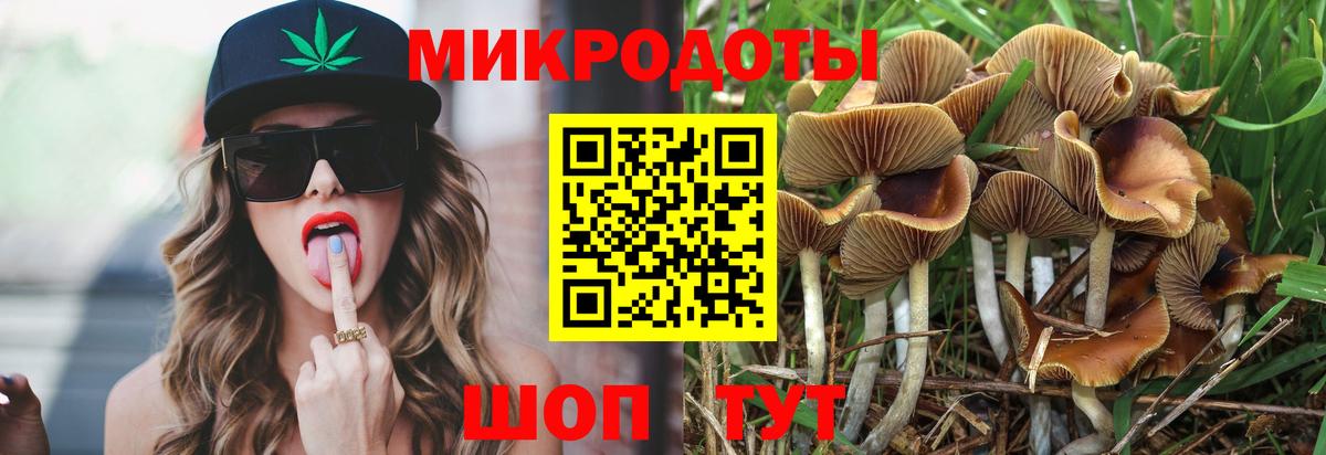 Галлюциногенные грибы мицелий Сальск